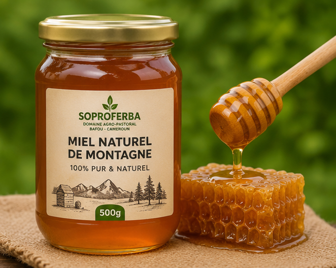 Miel Naturel de Montagne