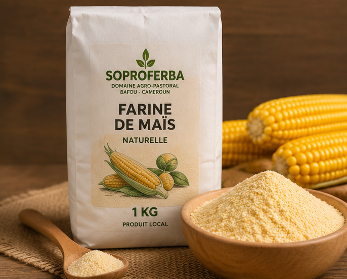 Farine de Mais Naturelle .
