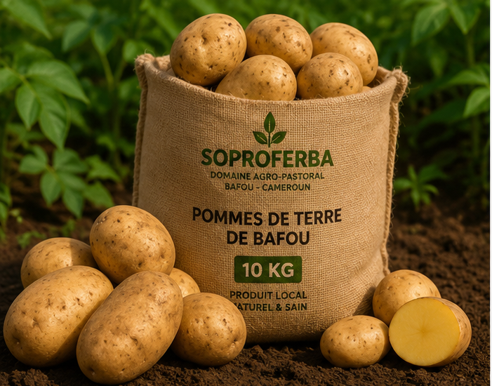 Pommes de terre de Bafou Premium
